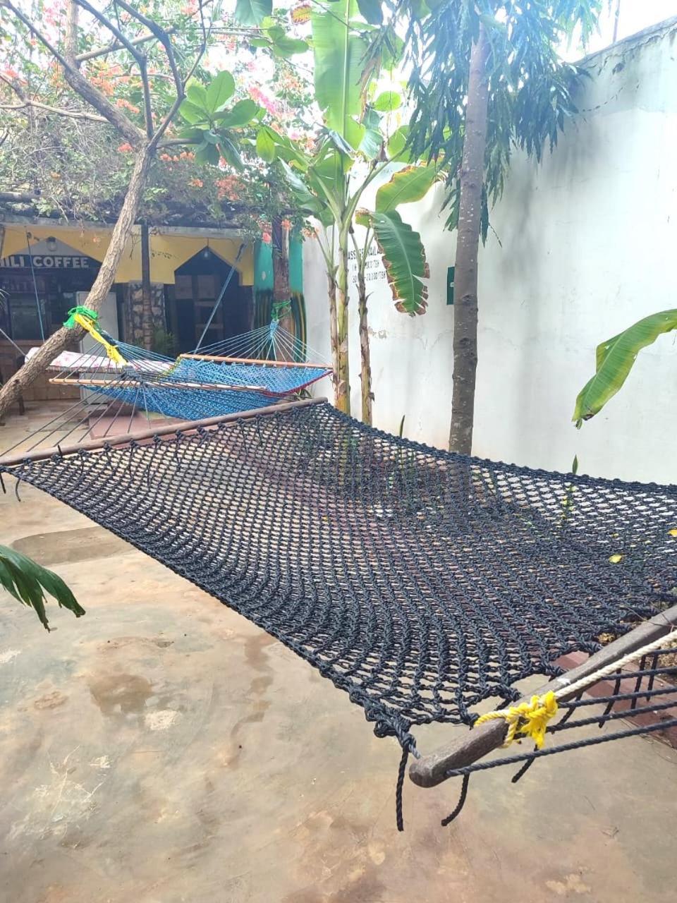 Homeland Swahili Lodge Nungwi Backpacker Apartments Budget Exterior photo