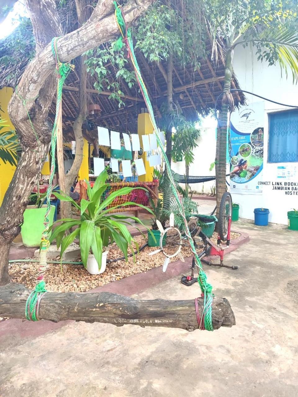 Homeland Swahili Lodge Nungwi Backpacker Apartments Budget Exterior photo