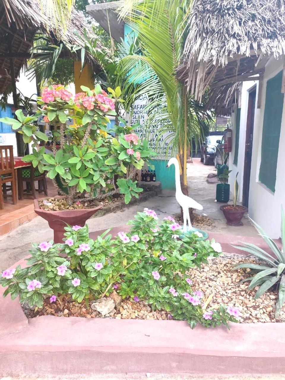 Homeland Swahili Lodge Nungwi Backpacker Apartments Budget Exterior photo